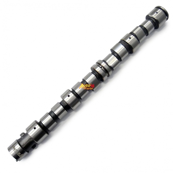OE 24578476 Auto Engine Parts Camshaft for GM/Chevrolet/OPEL/Daewoo Corsa 1.4